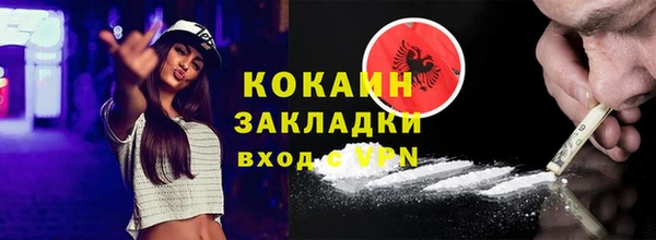 spice Инта