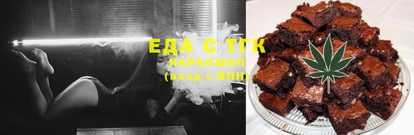 тгк Каменка