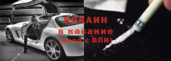 тгк Каменка