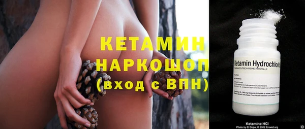 сатива Иннополис