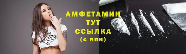 spice Инта