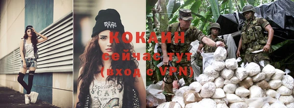 тгк Каменка