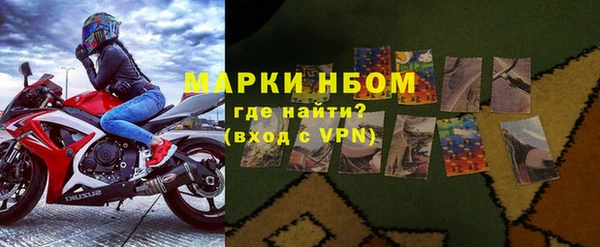 сатива Иннополис