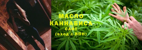 тгк Каменка
