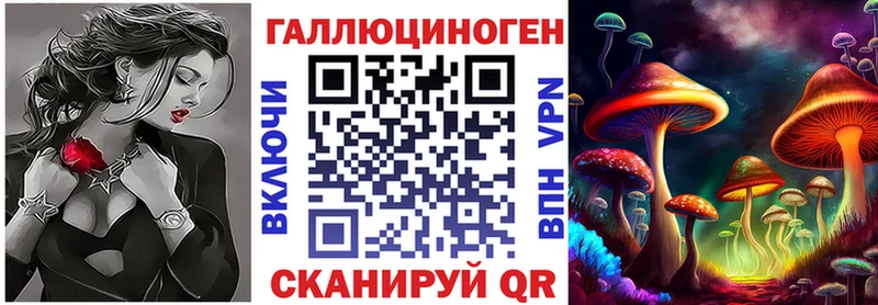 Купить  Кингисепп  Галлюциногенные грибы Magic Shrooms 